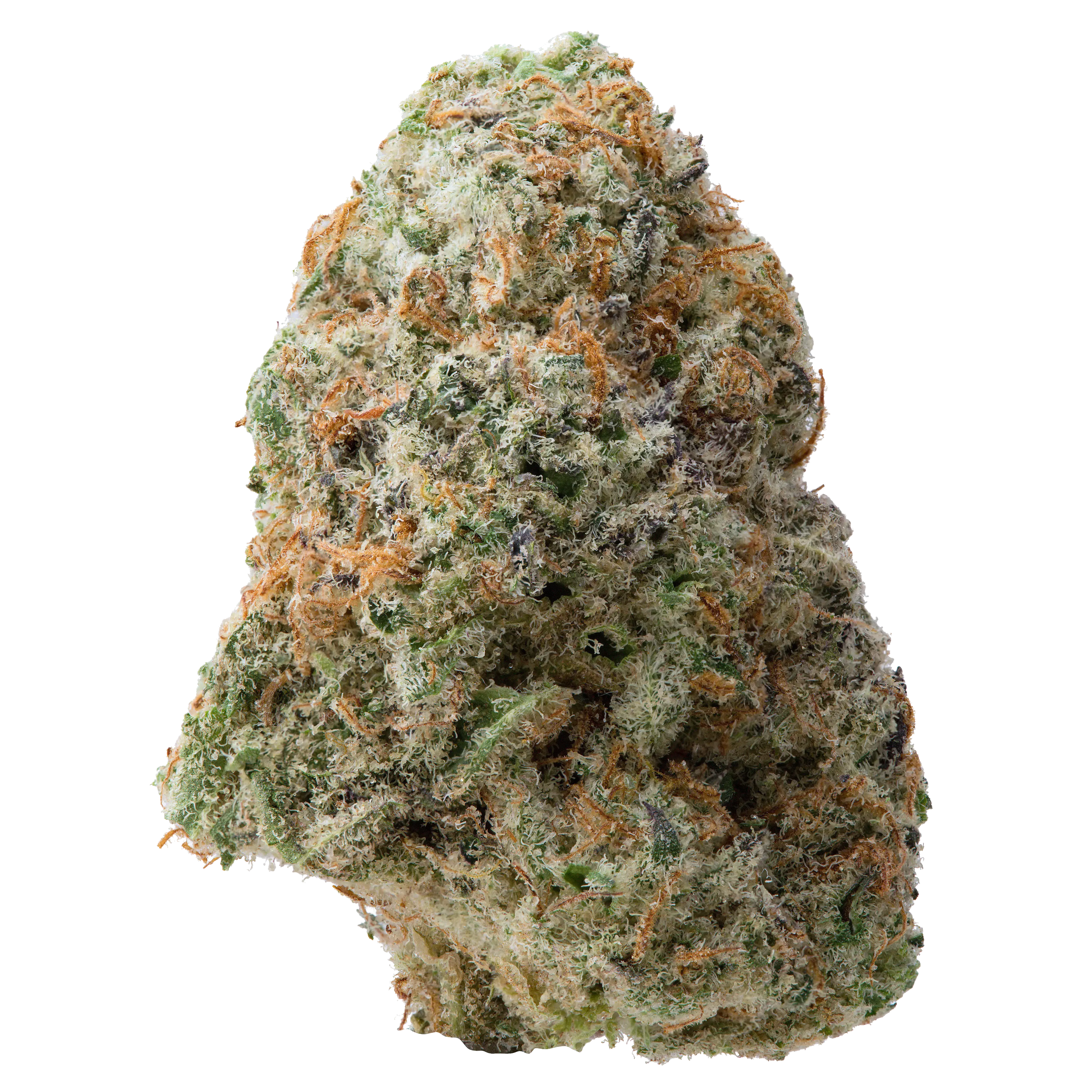 Orange Miracle Alien Cookies THCa Flower - Image 2