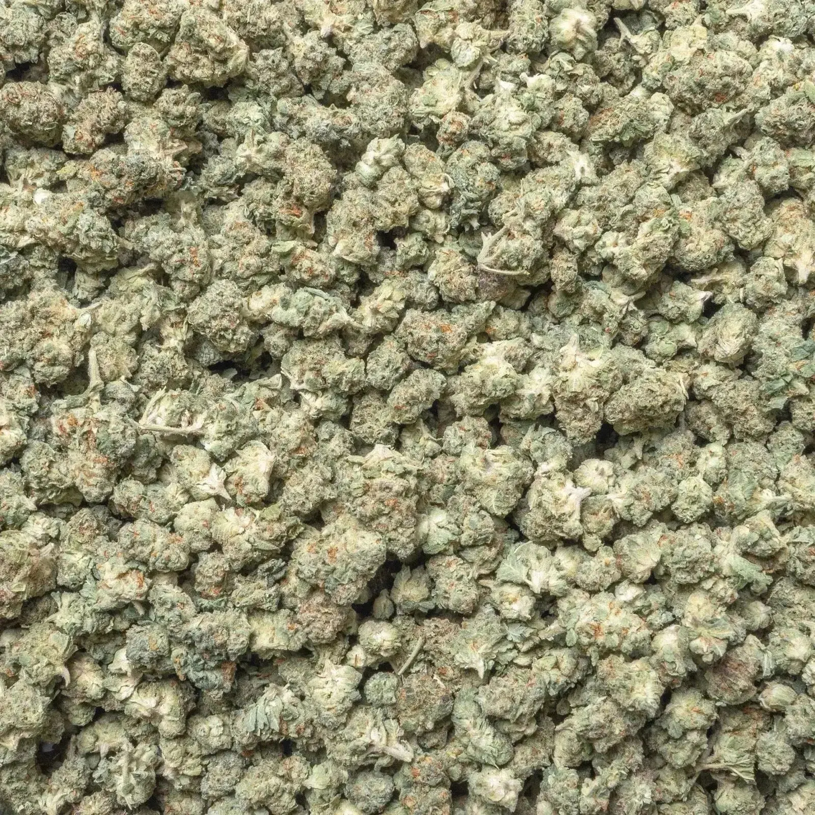 Orange Push Pop Smalls THCa Flower