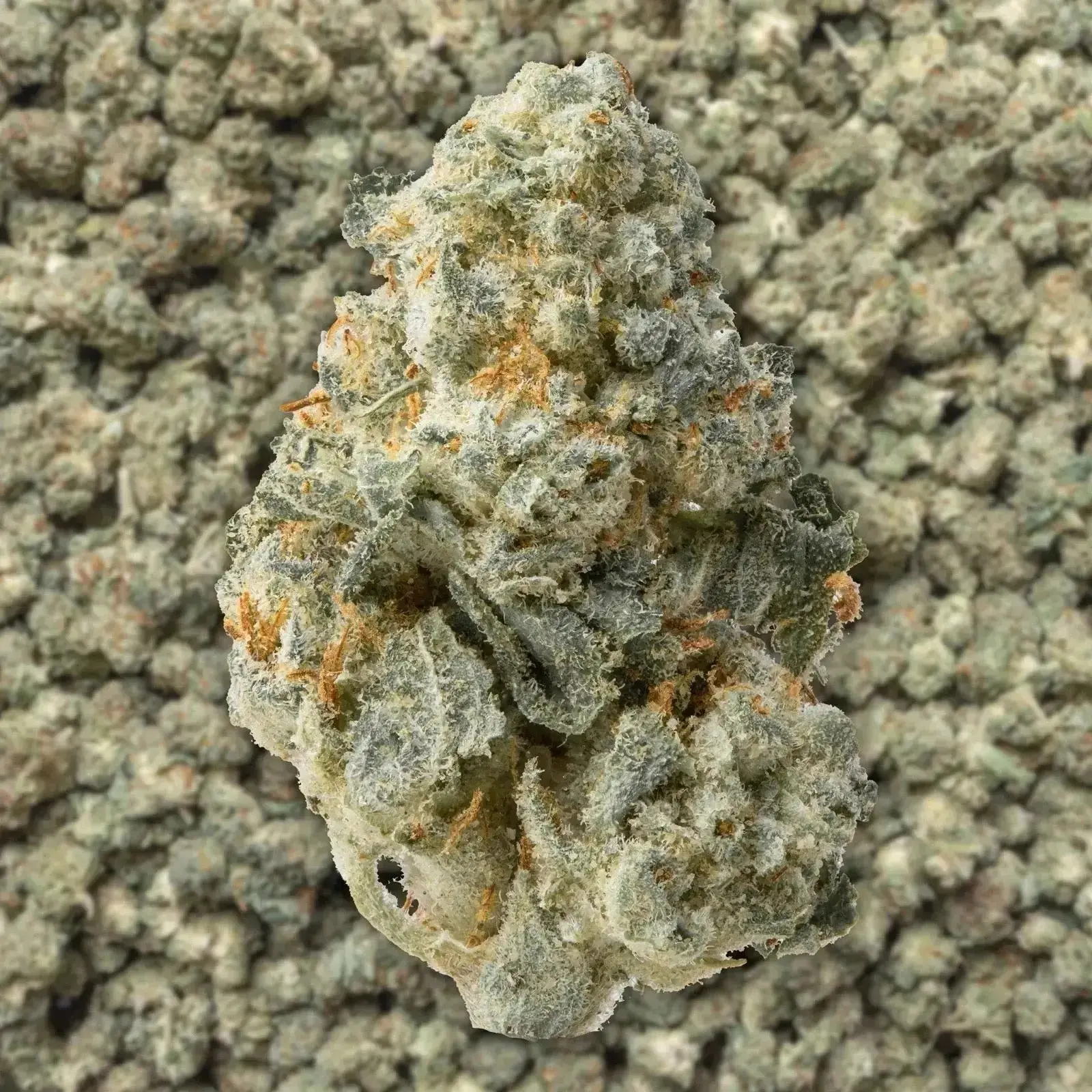 Orange Push Pop Smalls THCa Flower - Image 3