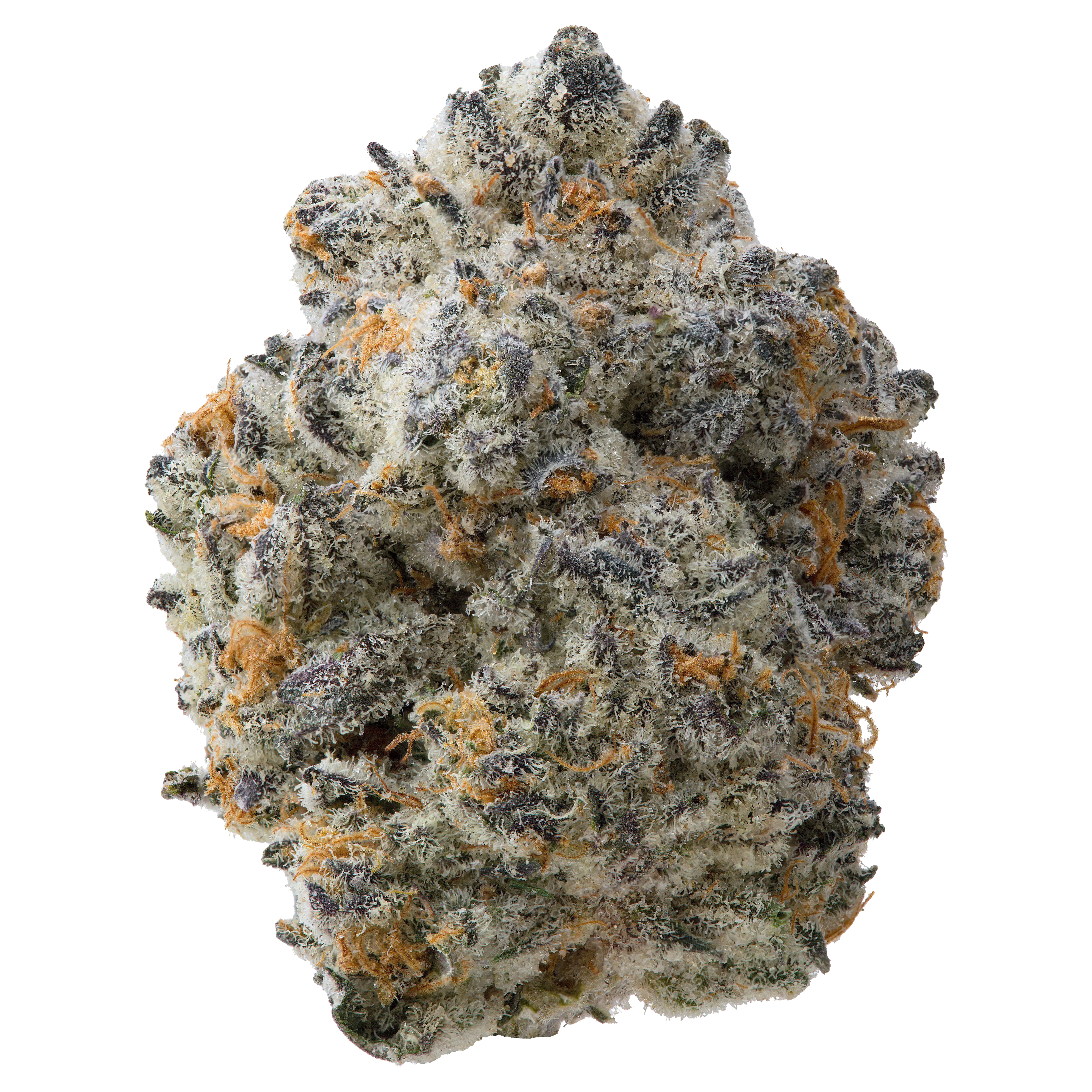 Oreo THCa Flower 3.5 Grams - Image 2