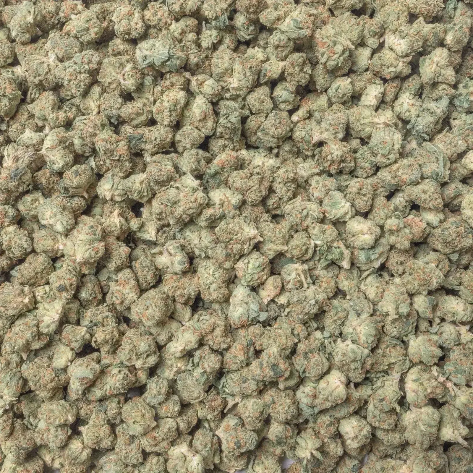 Panama Red THCa Smalls Ounces
