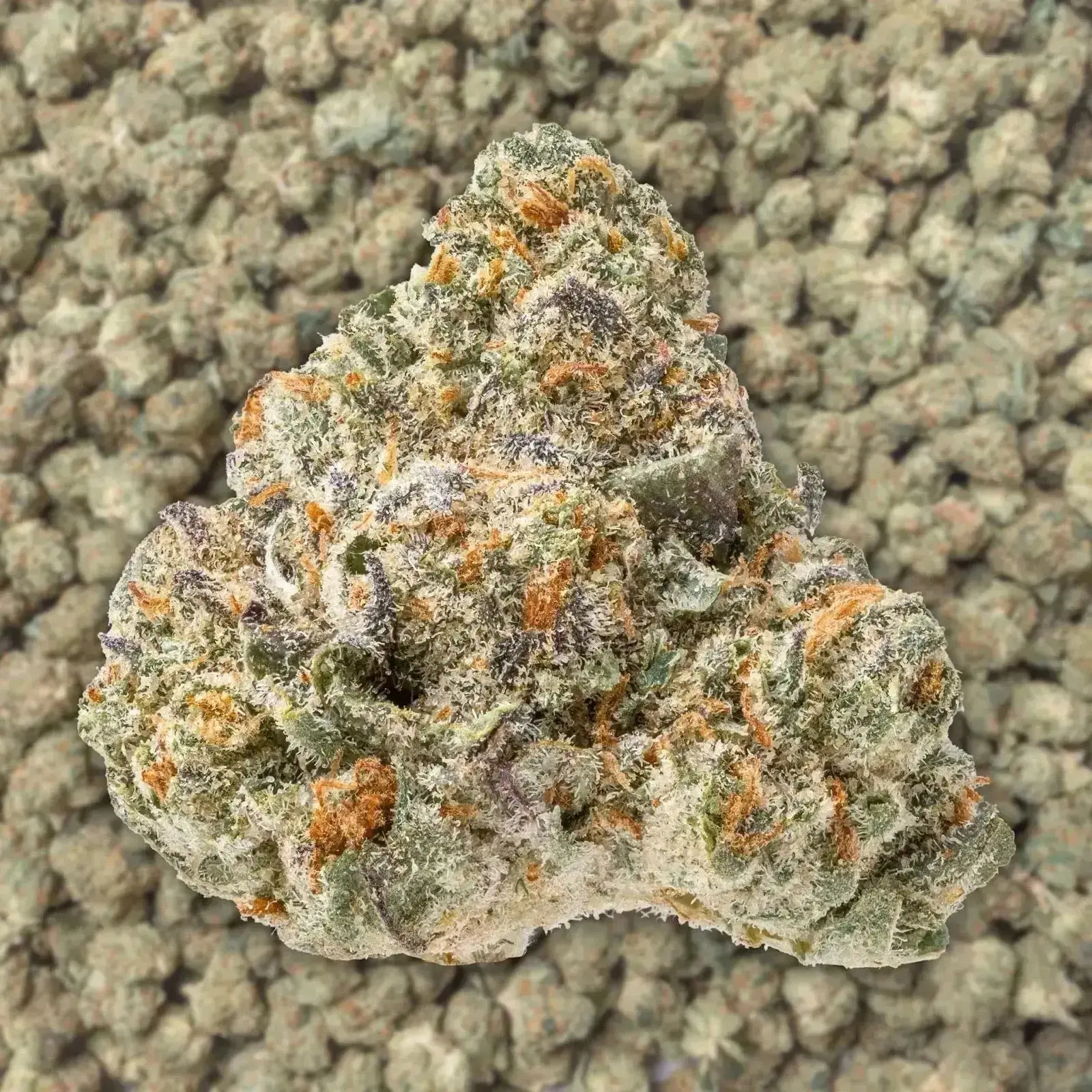 Panama Red THCa Smalls Ounces - Image 3