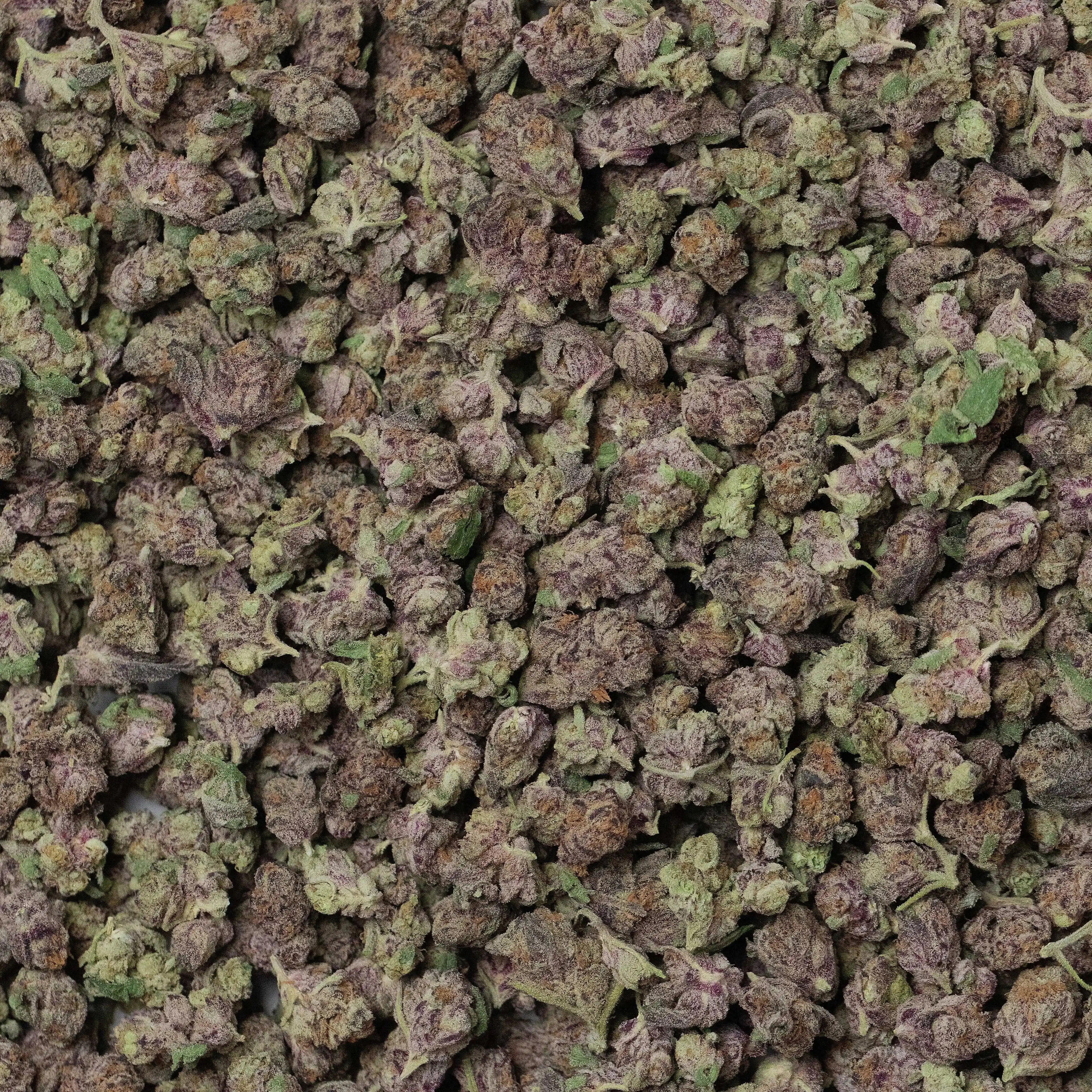 Peanut Butter Breath Smalls THCa Flower 3.5 Grams