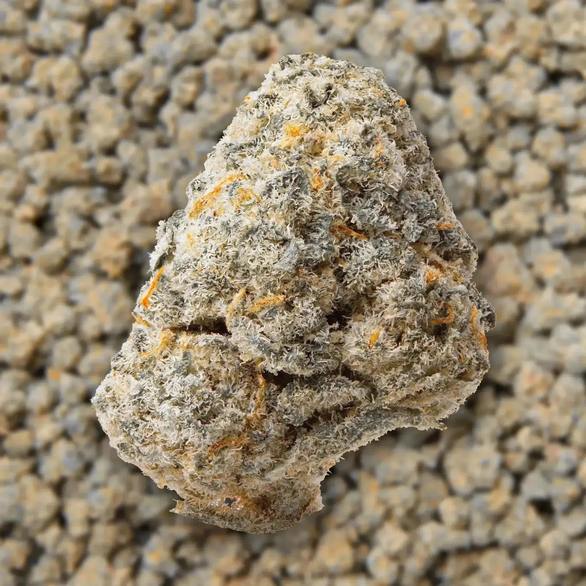 Pineapple Express Smalls THCa Flower 3.5 Grams - Image 3