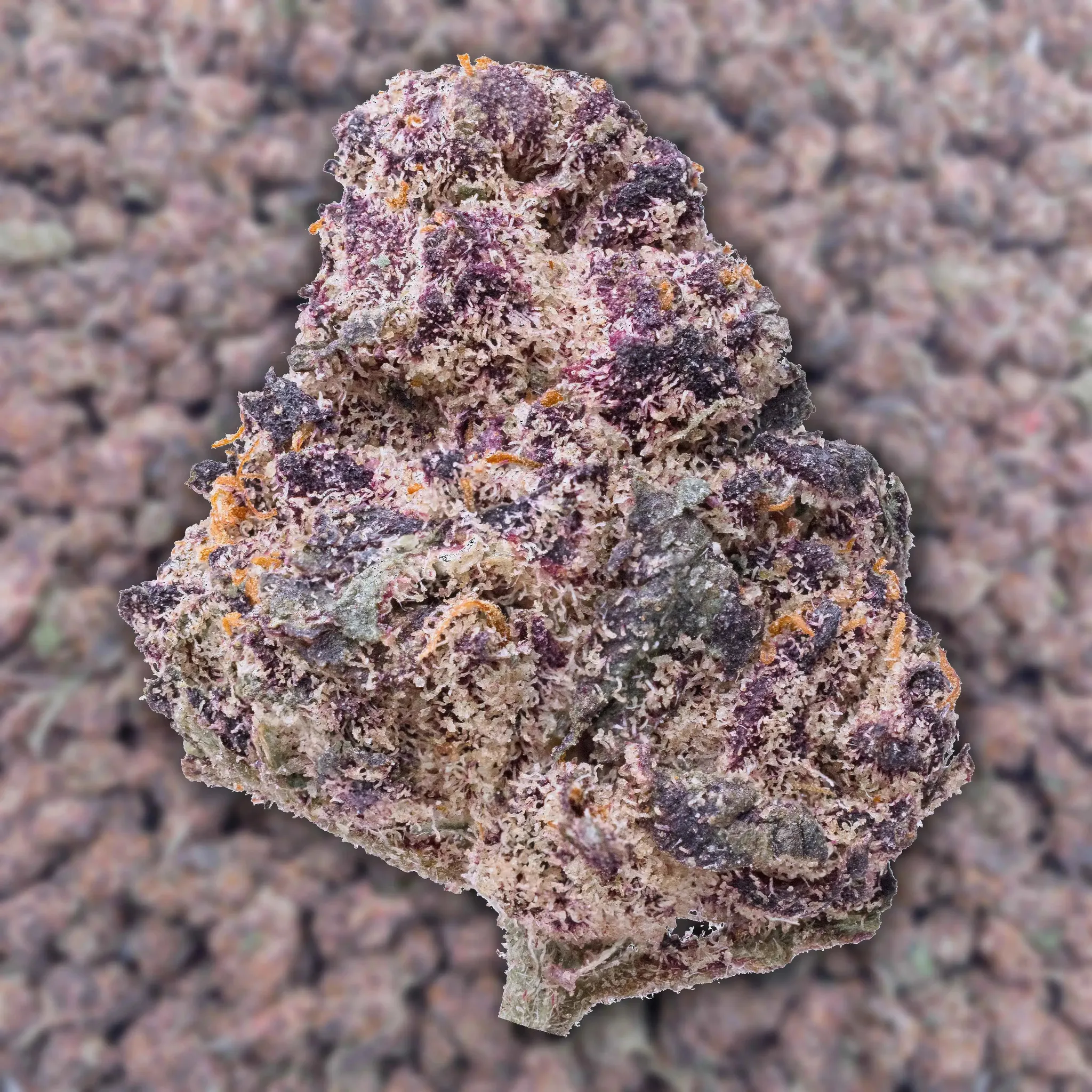 Pink Rozay Smalls THCa Flower Ounce - Image 2