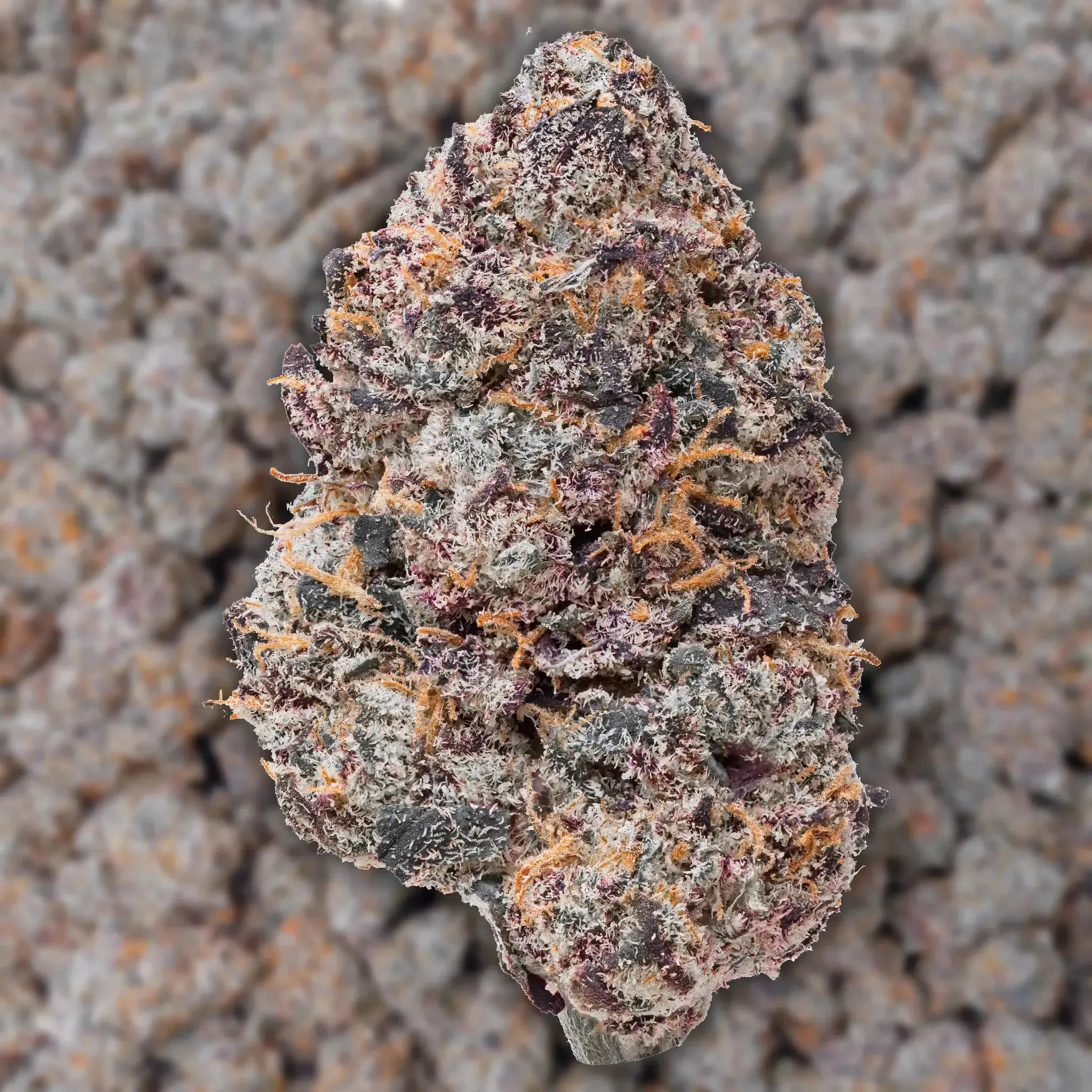Purple Certz THCa Flower - Image 3