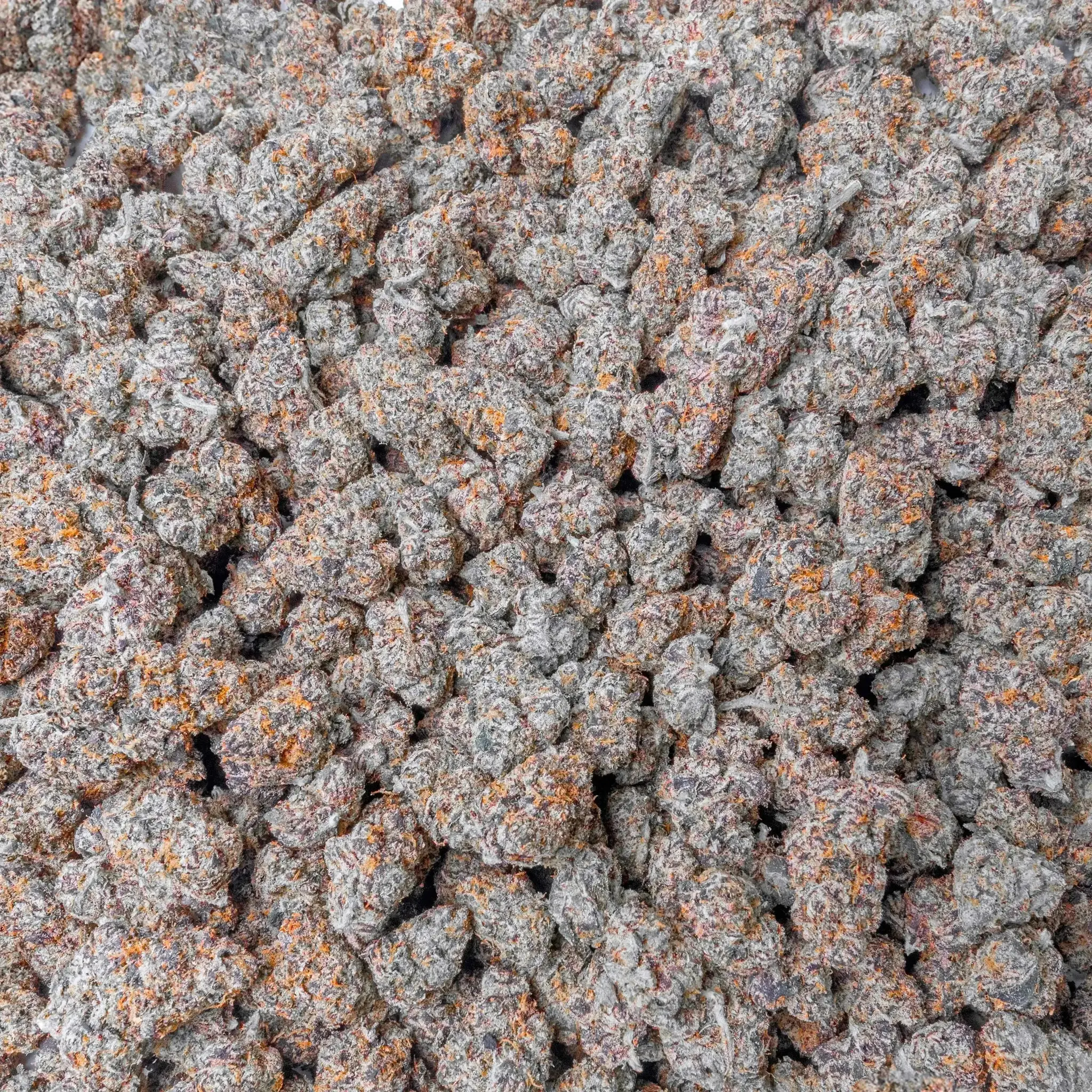 Purple Certz THCa Flower - Image 6