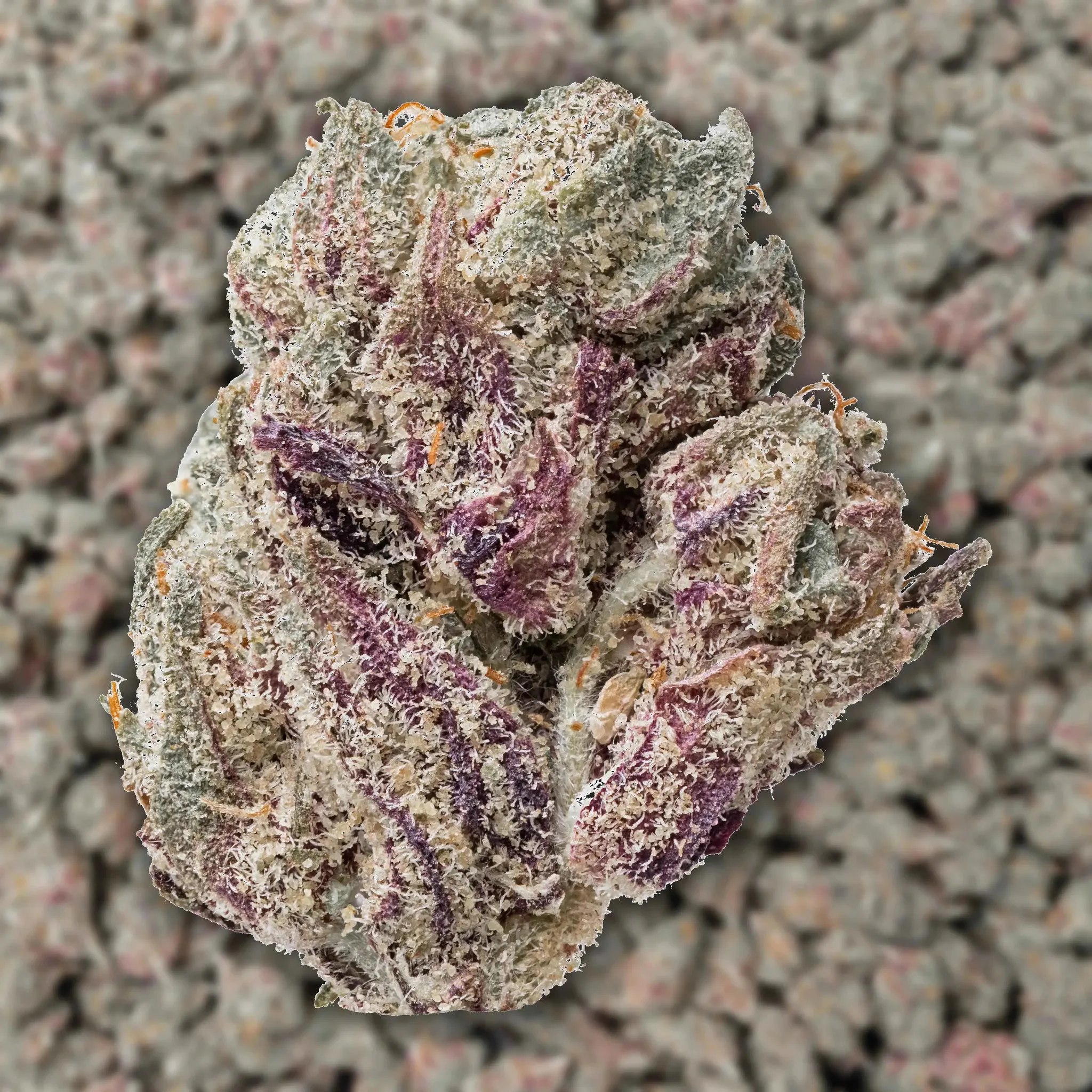 Purple Panty Dropper Smalls THCa Flower - Image 3
