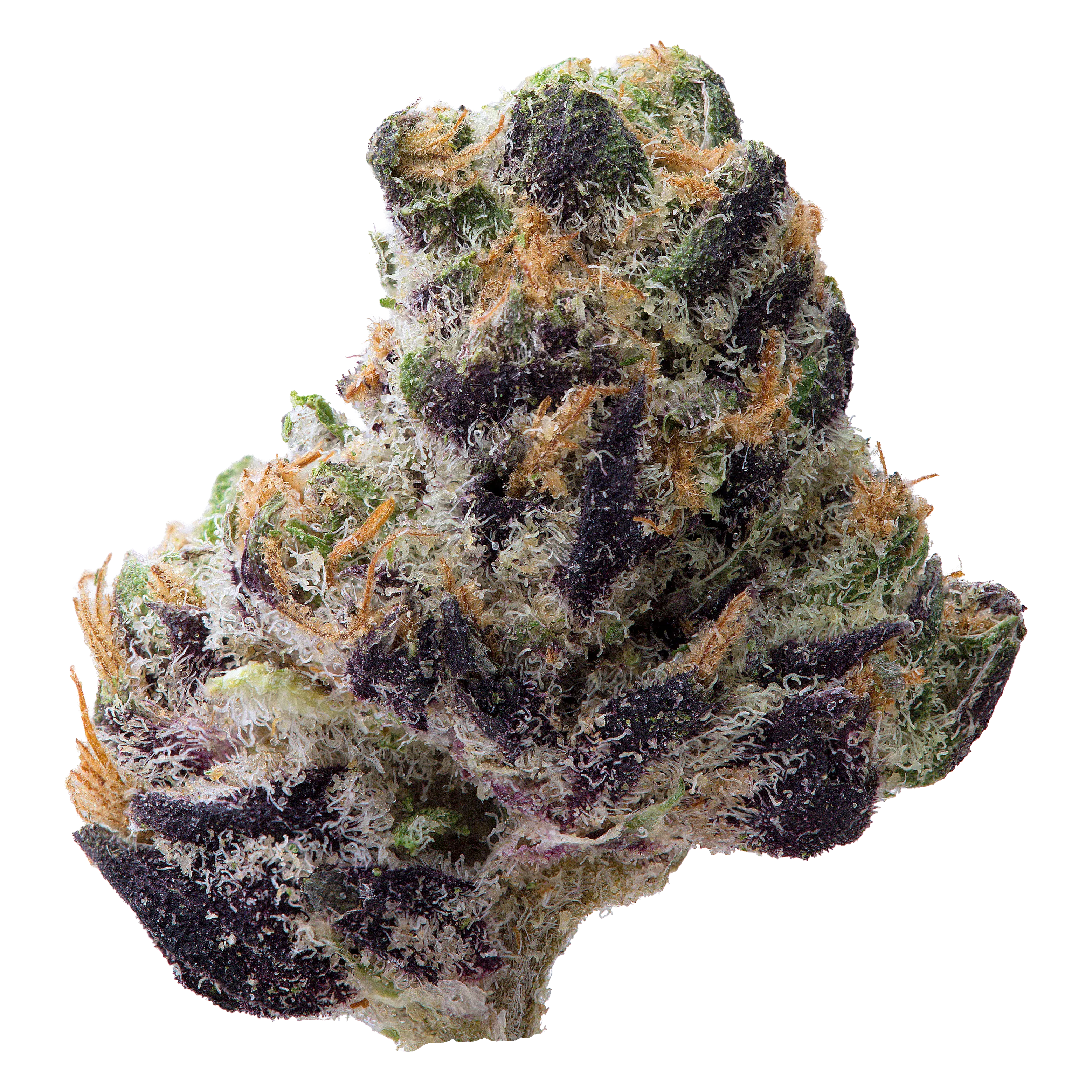 Purple Rosé Smalls THCA Flower - Image 2