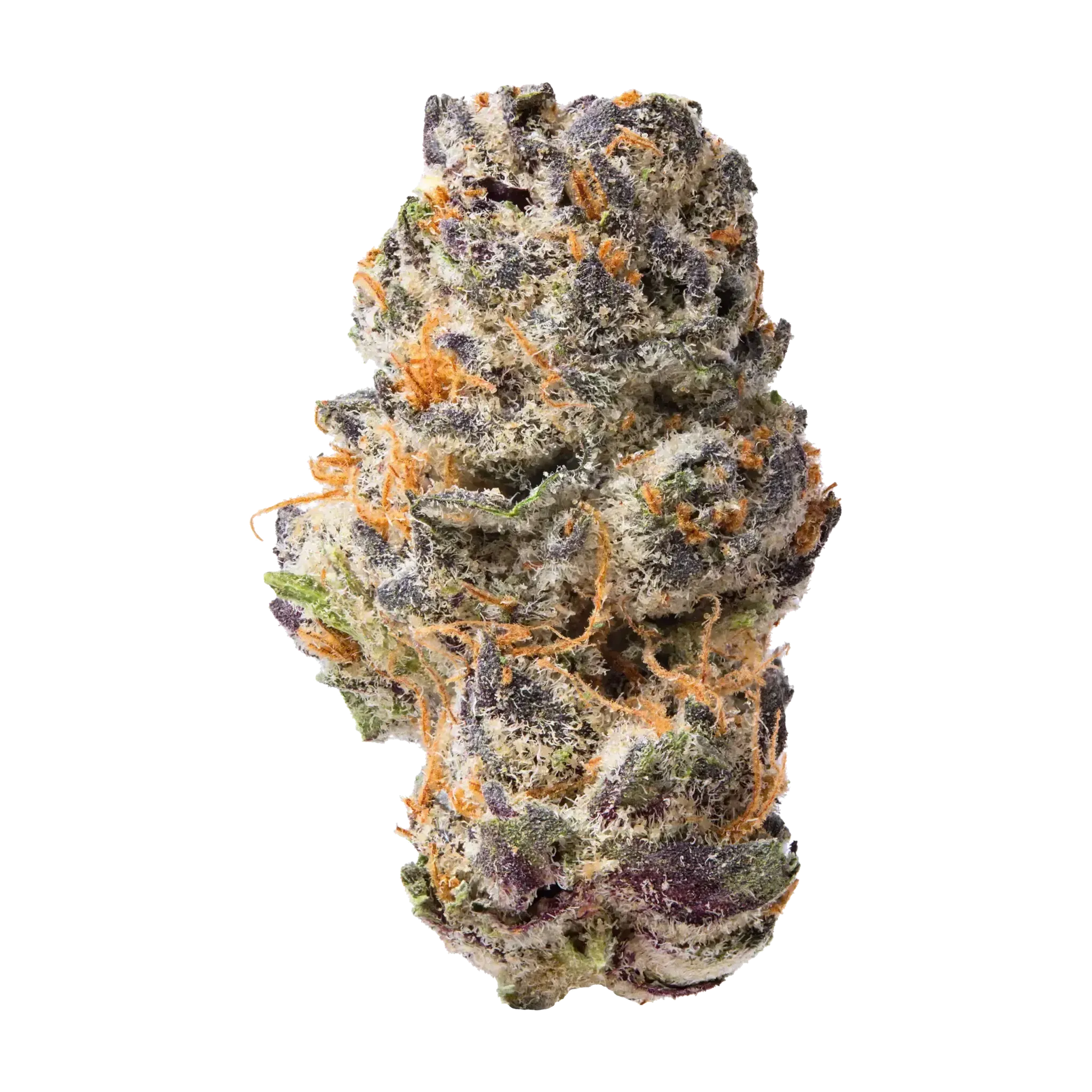 Queen Sherb THCa Flower
