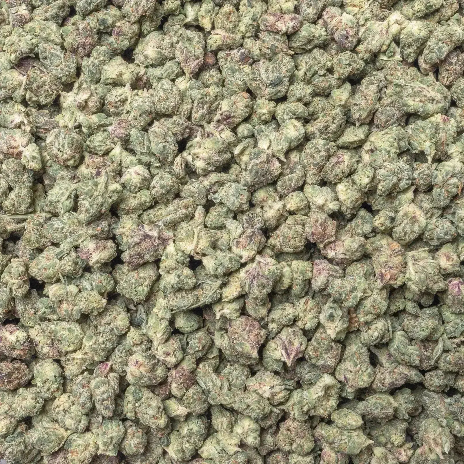 Raspberry Gas Smalls THCa Flower Ounce