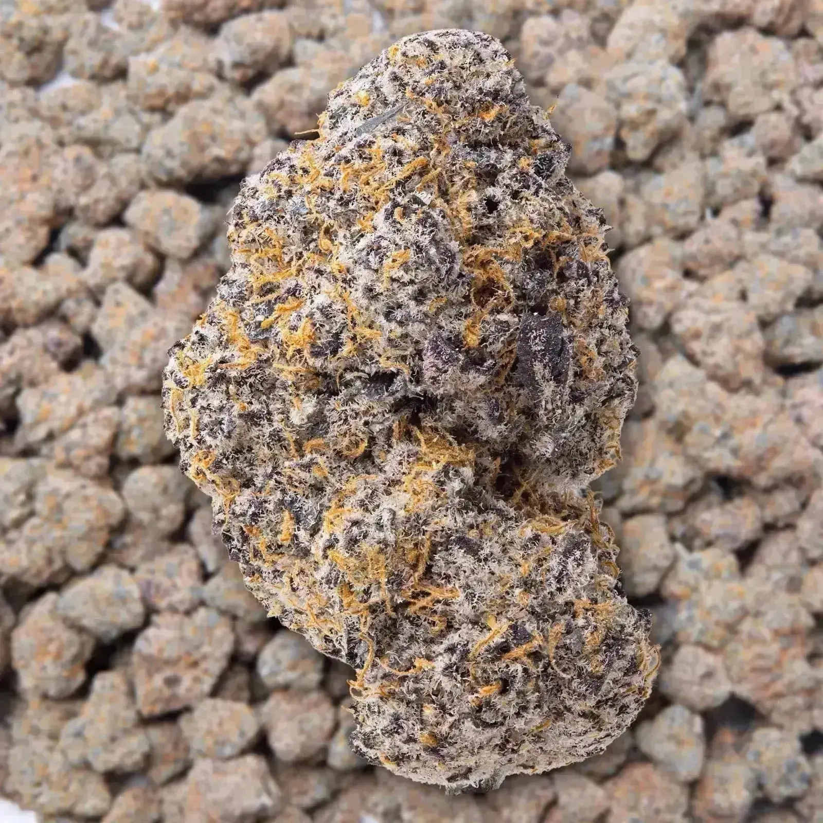 Silver Spoon THCa Flower - Image 3