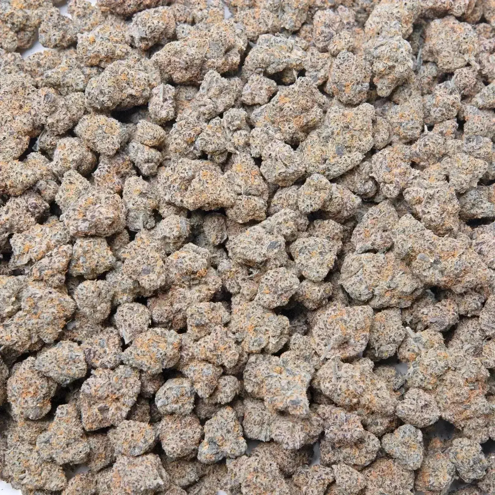 Silver Spoon THCa Flower - Image 9