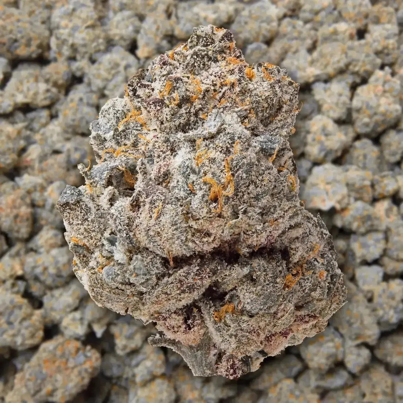 Sour Diesel THCa Flower - Image 3