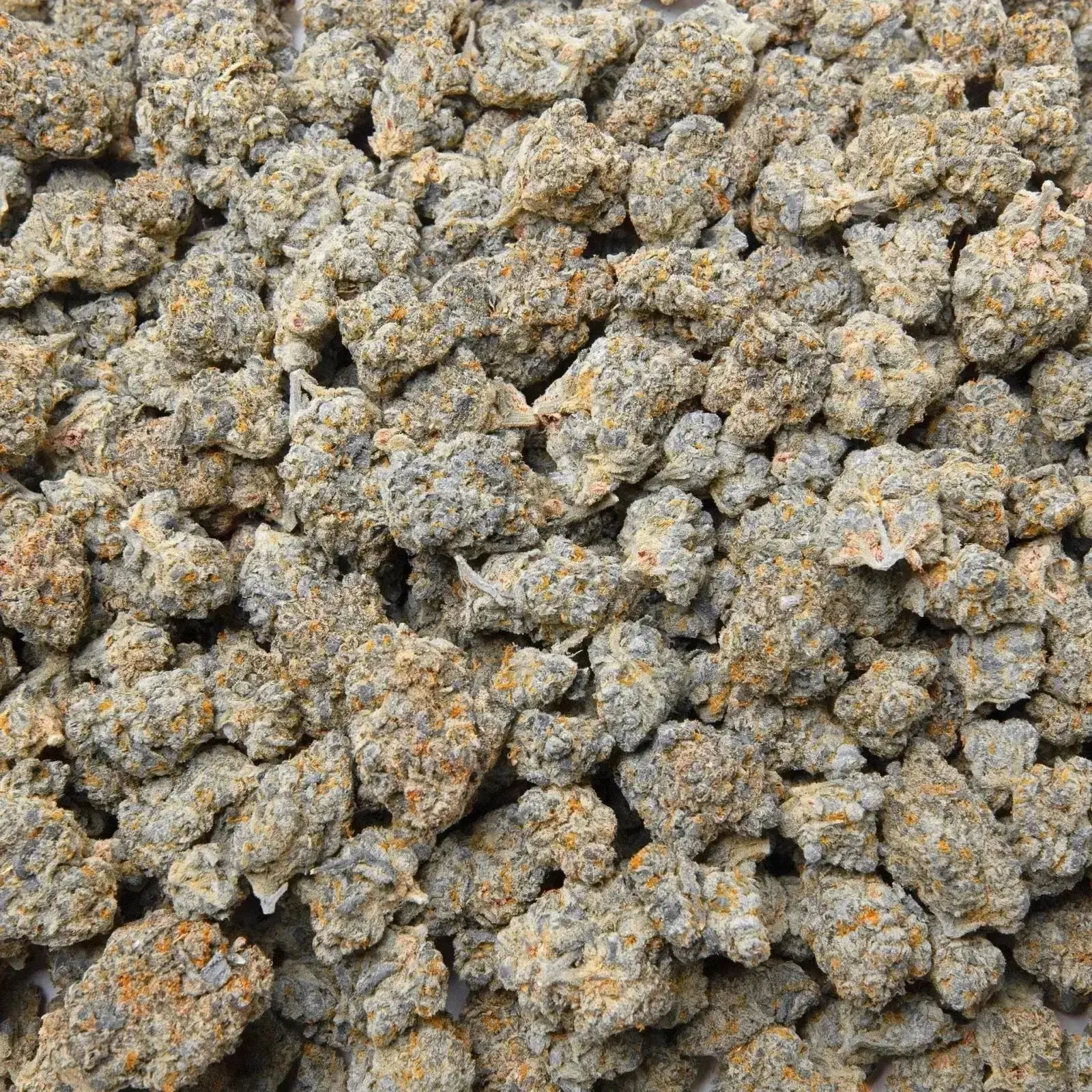 Sour Diesel THCa Flower - Image 6