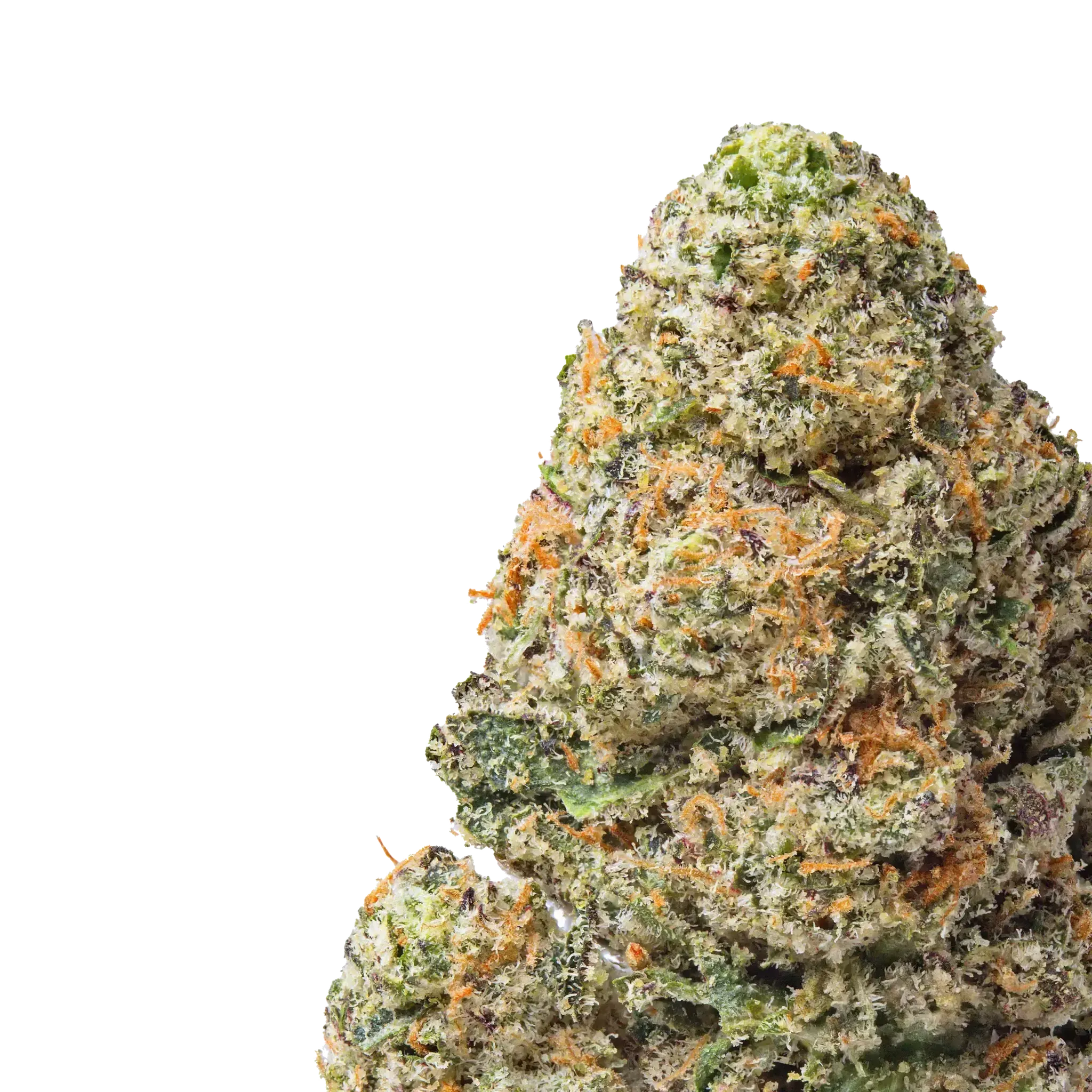 Space Runtz THCa Flower - Image 2