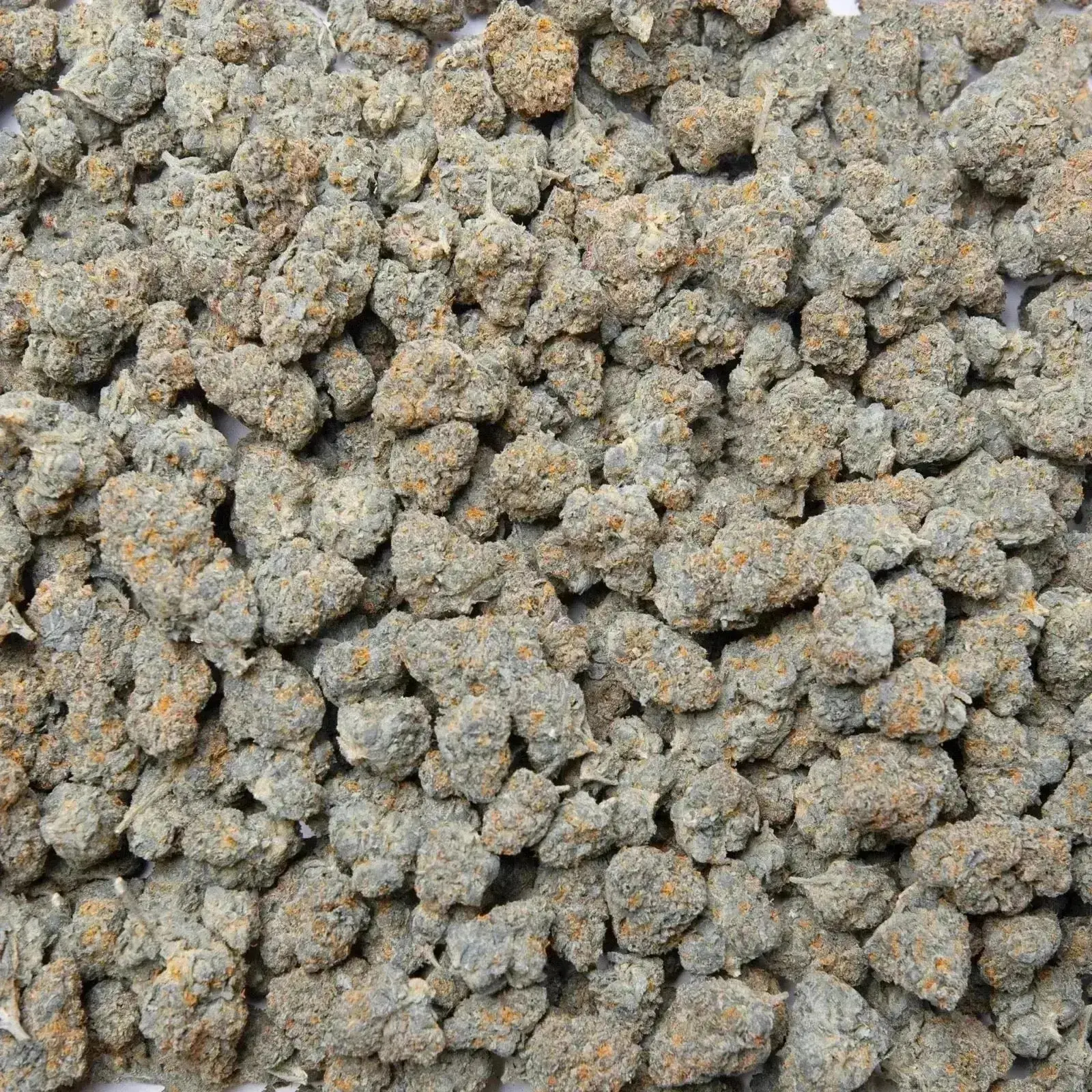 Strawberry Cough THCa Flower - Image 9