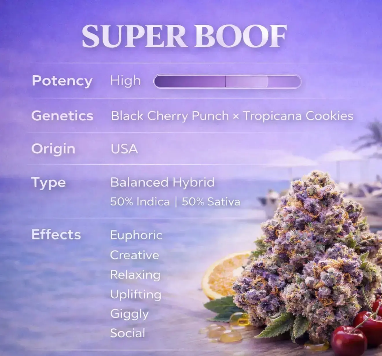 Super Boof THCa Flower - Image 3