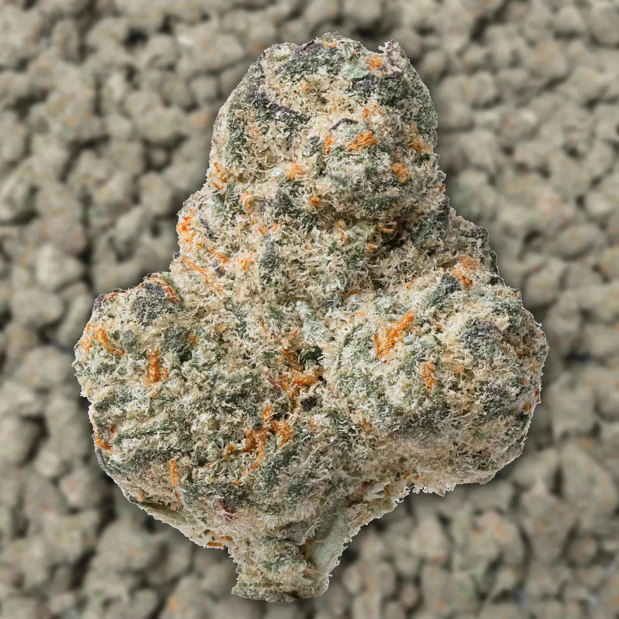 Tangie Smalls THCa Flower - Image 3