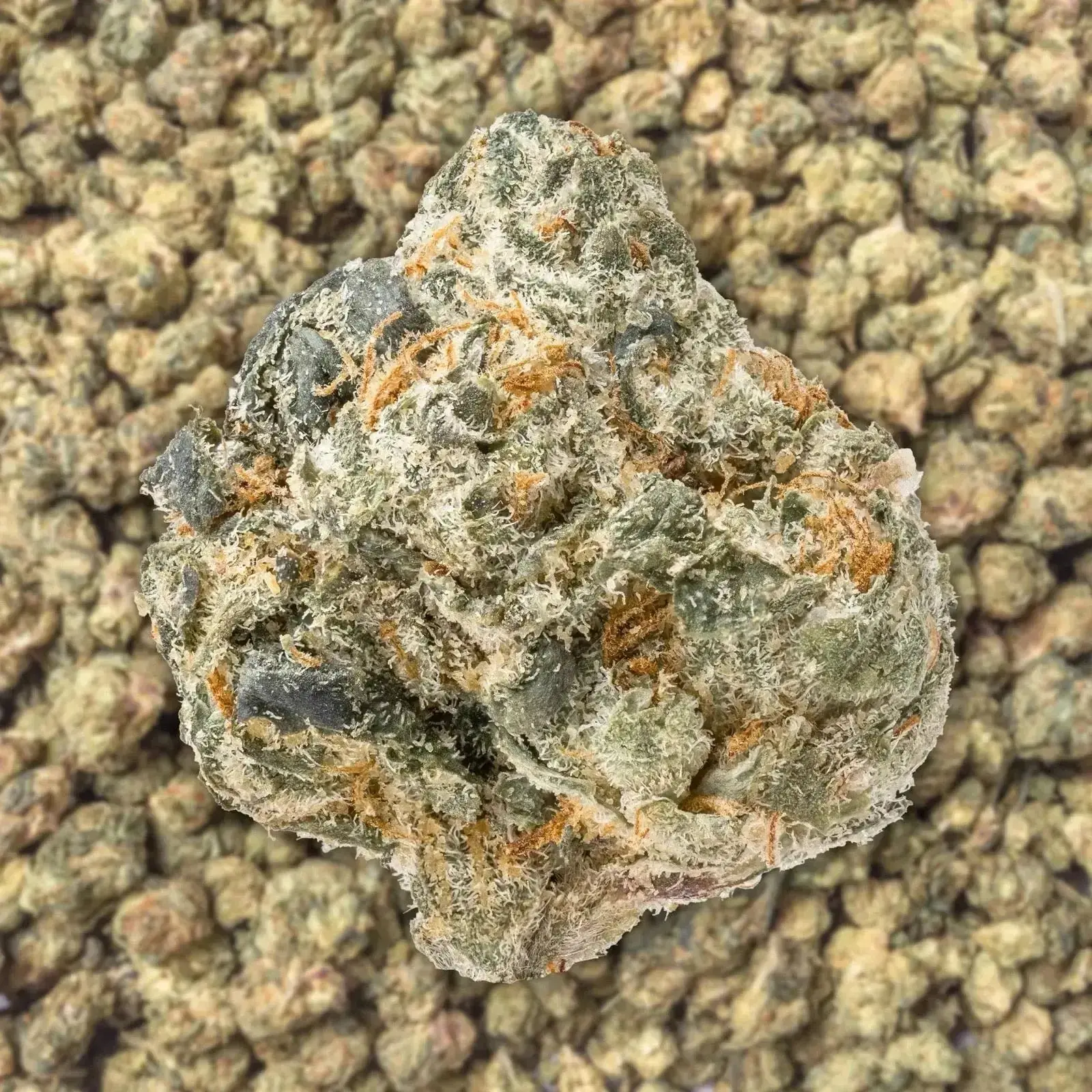 Thai Smalls THCa Flower - Image 3