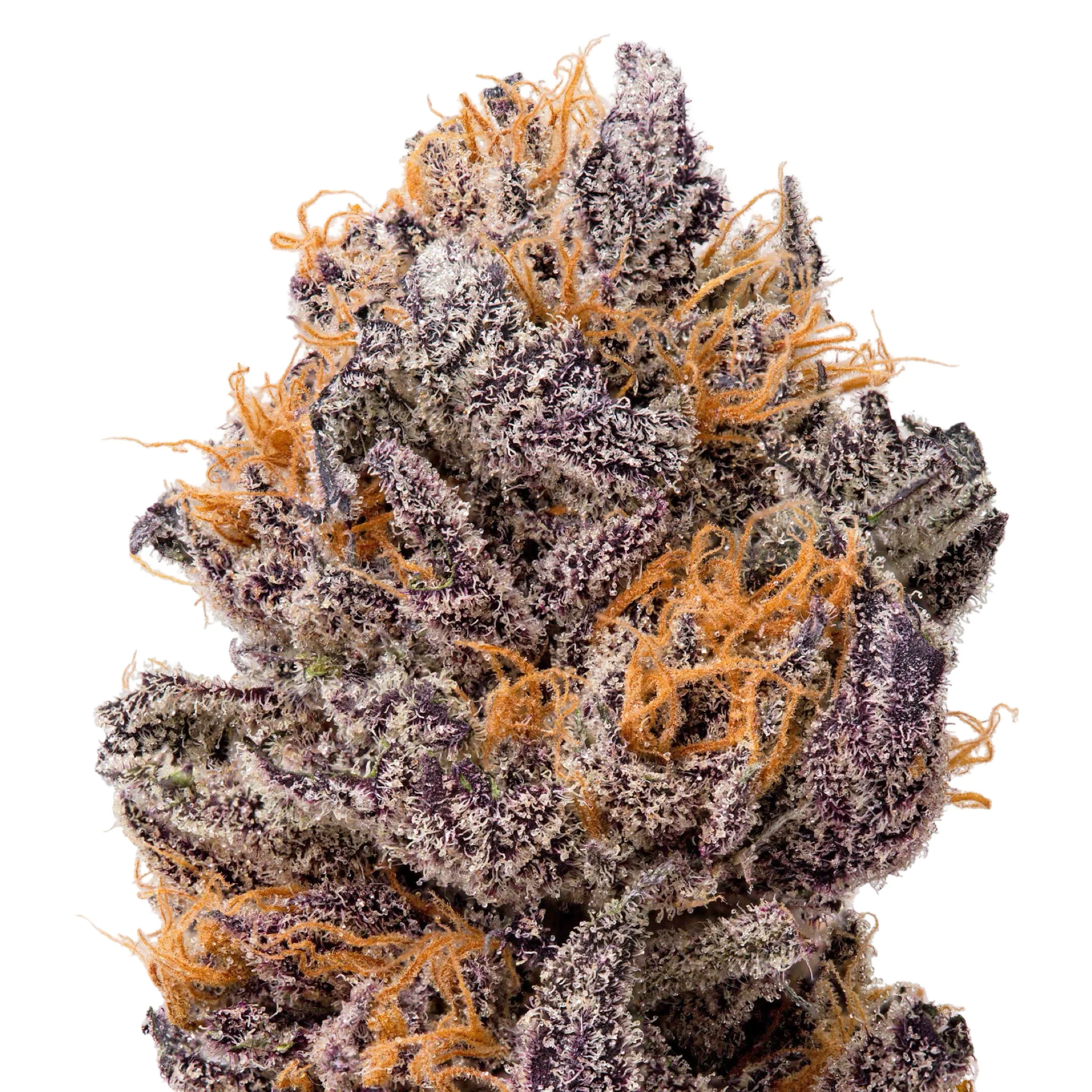 THCa Flower Sampler - Image 2