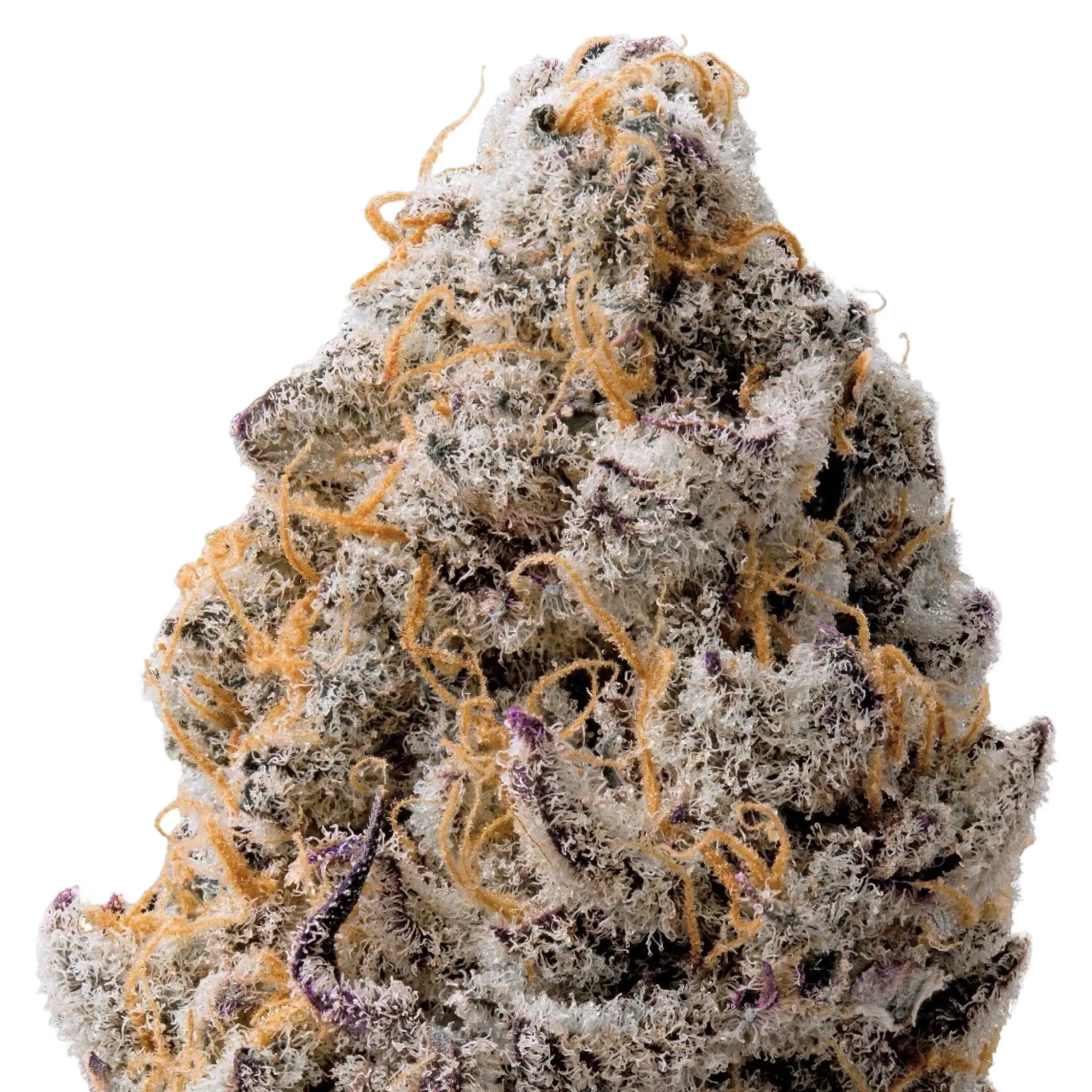THCa Flower Sampler - Image 4