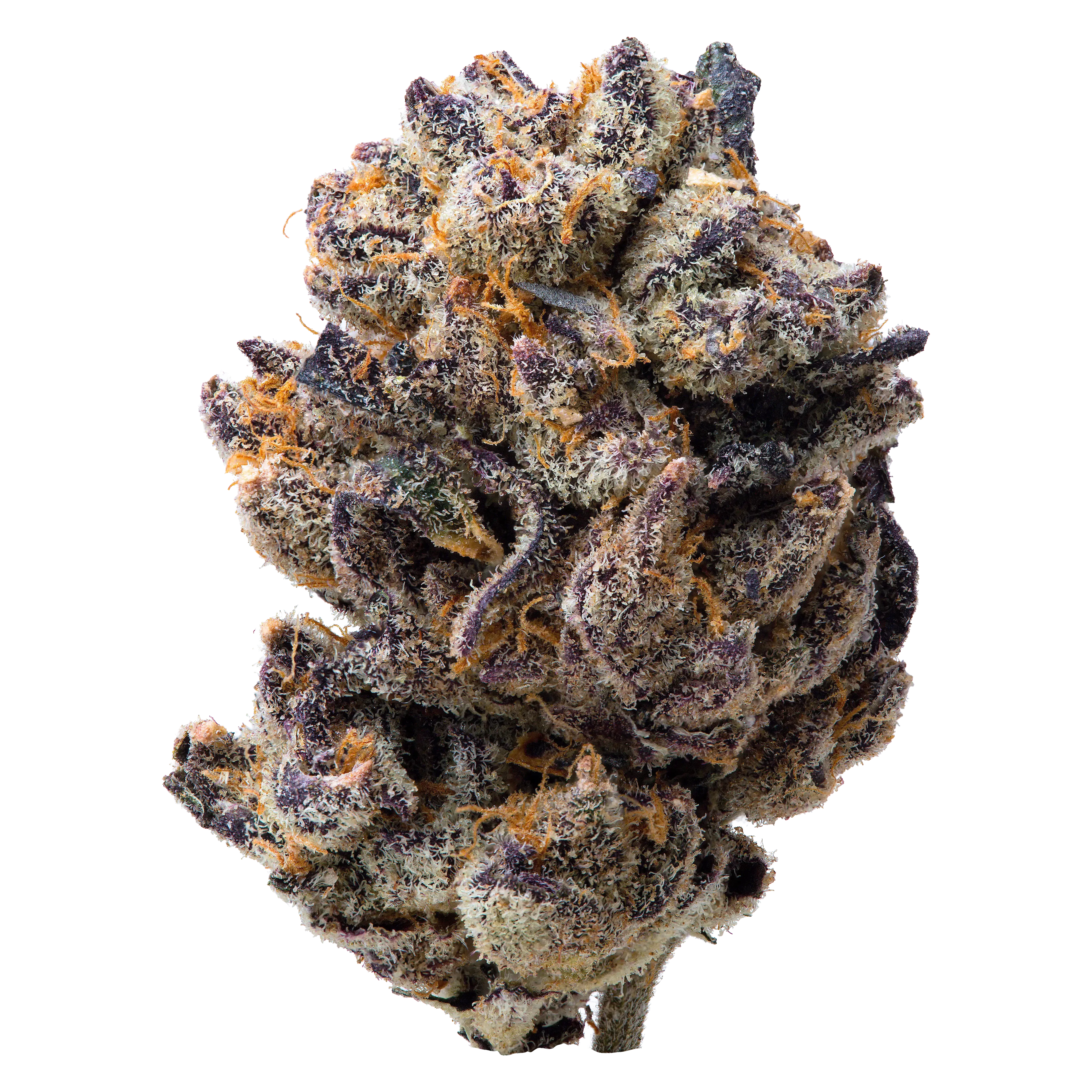 THCa Flower Sampler - Image 5