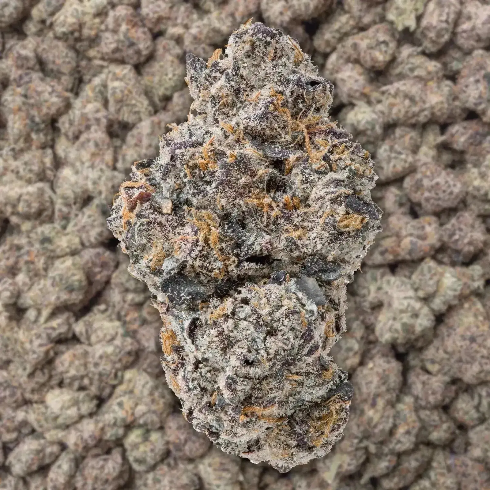 Uncle Snoop THCa Flower - Image 3
