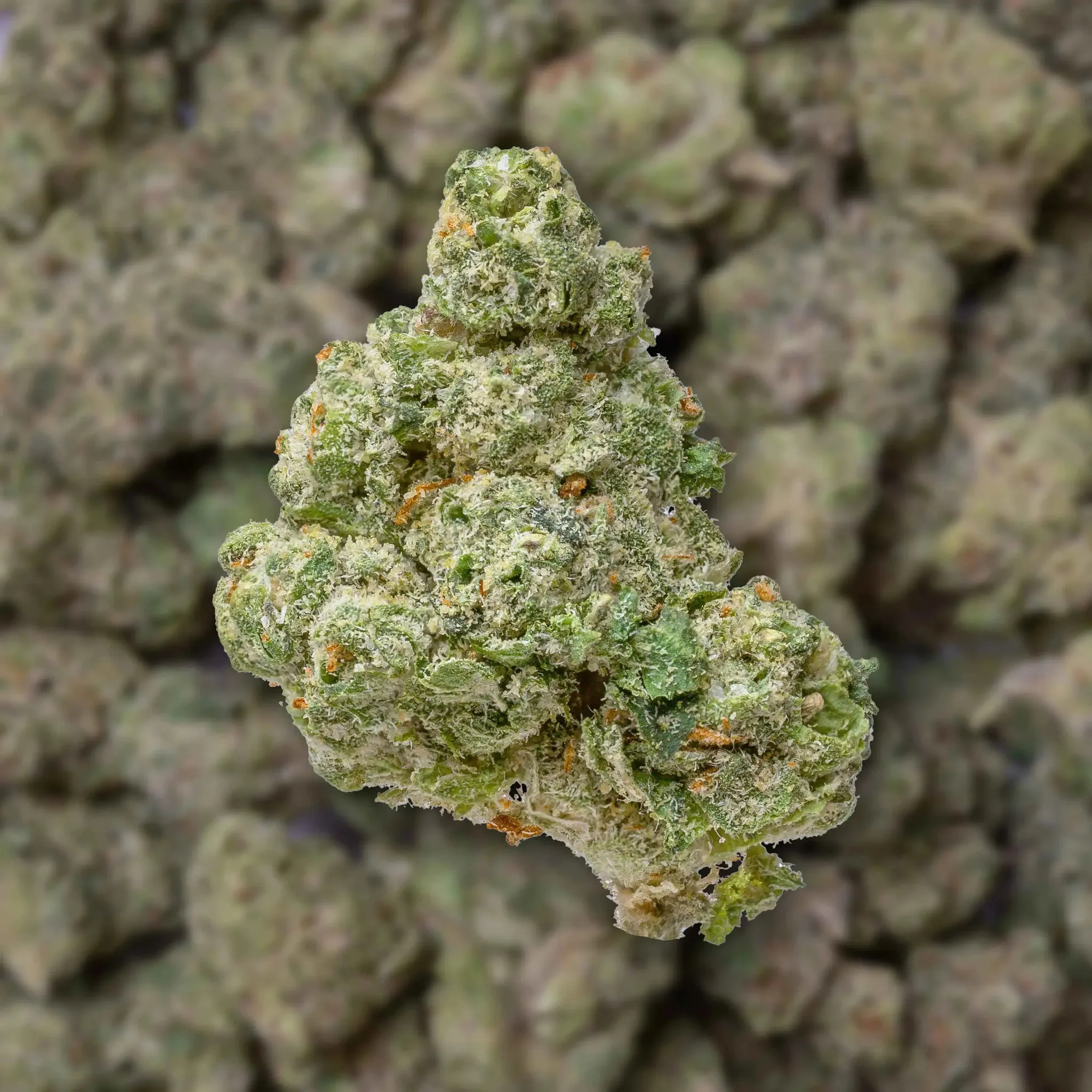 Upside Down Runtz Smalls THCa Flower Ounce - Image 3