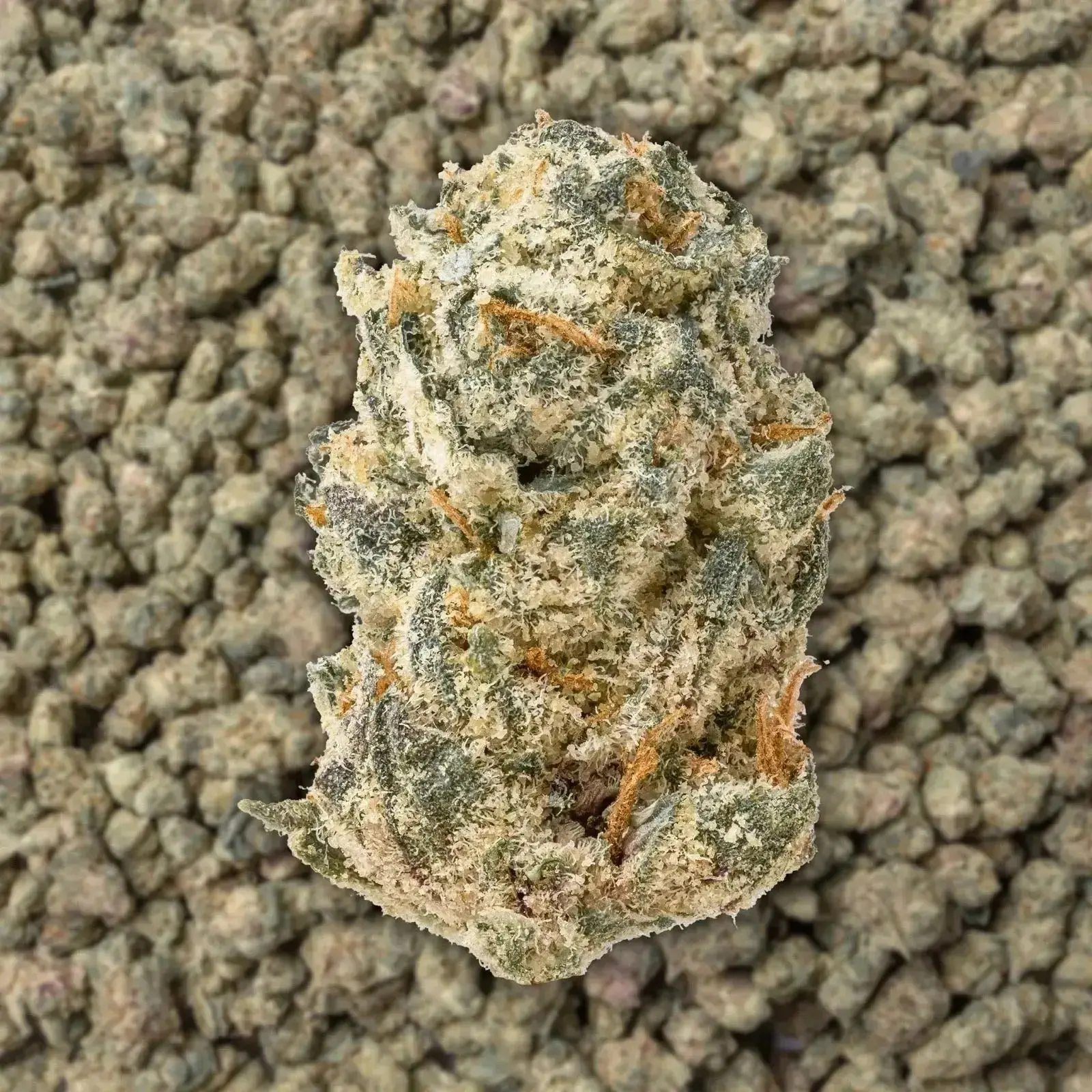 White BubbleGum Gelato Smalls THCa Flower - Image 3