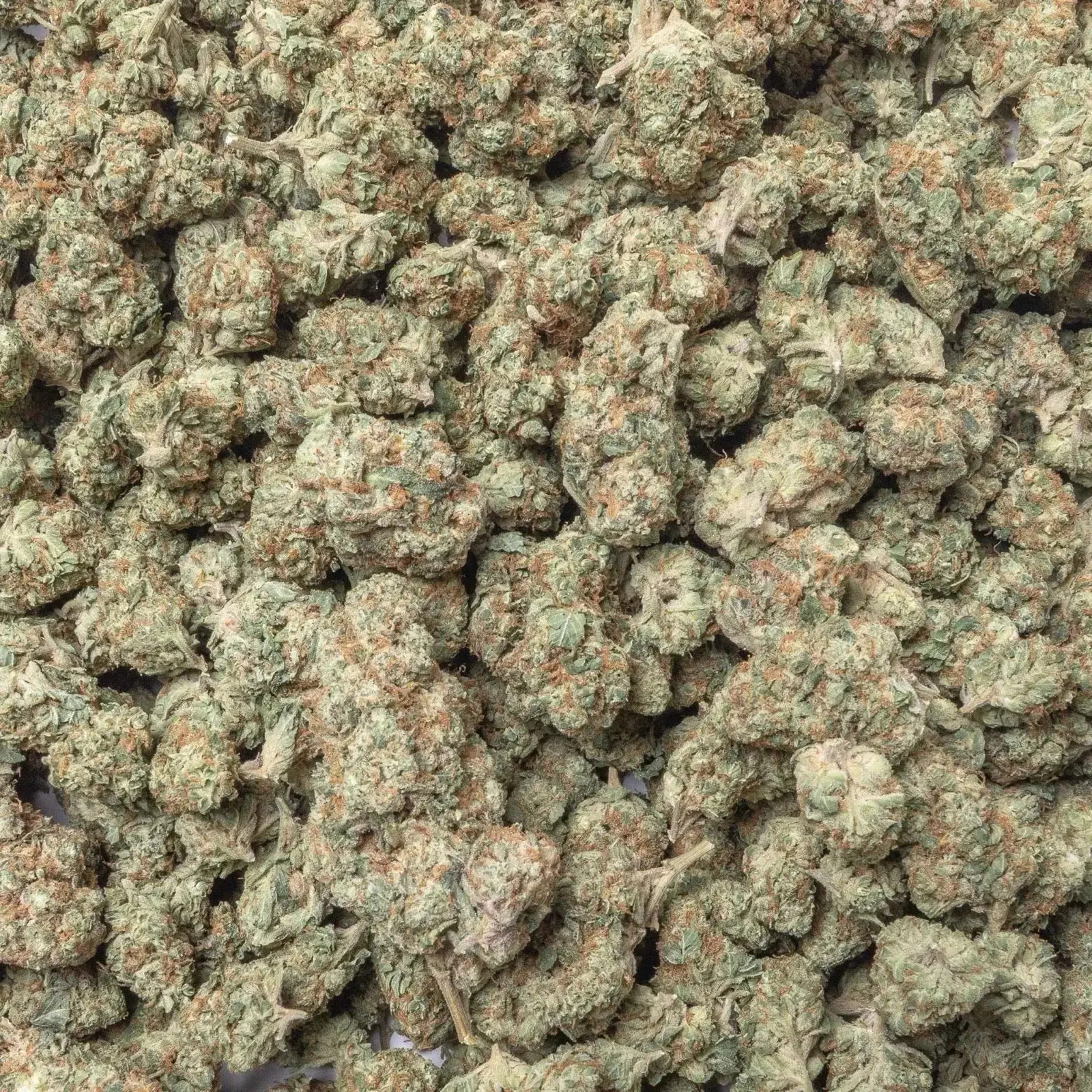White Widow THCa Flower - Image 2