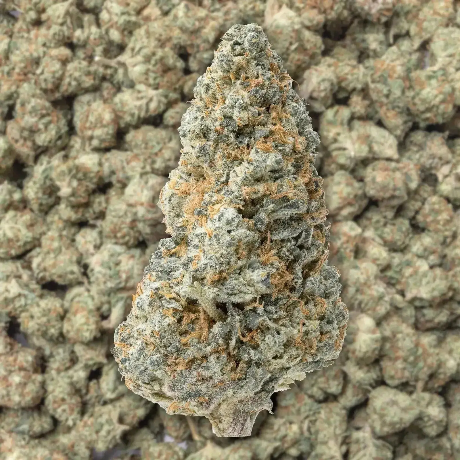 White Widow THCa Flower - Image 3