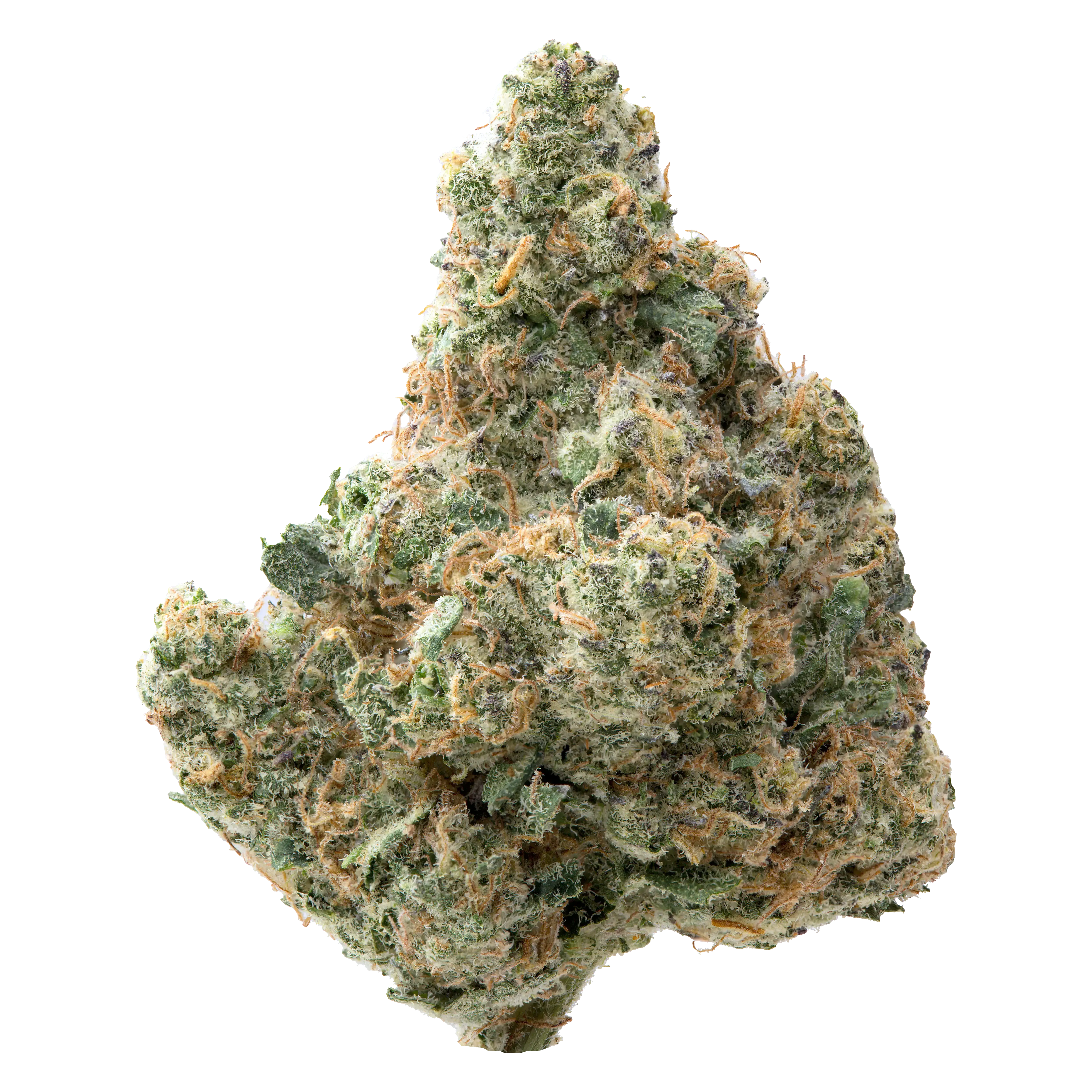 Zangria THCa Flower - Image 2